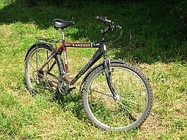 自行車,之旅,運輸