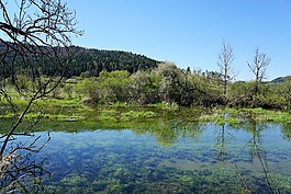多瑙河,河,德國(guó)