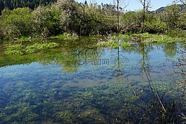 多瑙河,河,德國(guó)