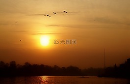 日落,天空,飛鳥