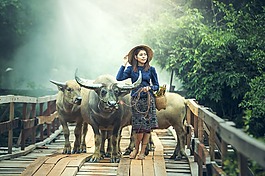 農業,動物,亞洲
