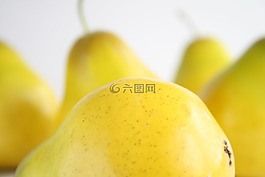 梨,黃色,水果