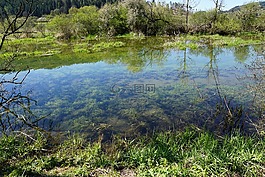 多瑙河,河,德國(guó)