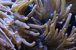 ?？?海底世界,水族館