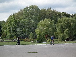 公園,城市,城市公園