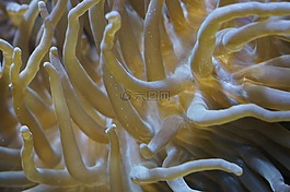 ?？?海底世界,水族館