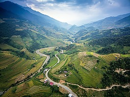 農業(yè),亞洲,貓