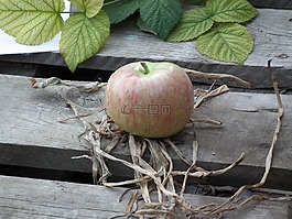 苹果,水果,成熟