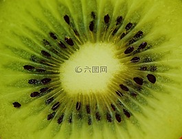 獼猴桃,水果,健康