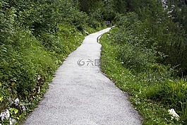 路徑,綠色,自然
