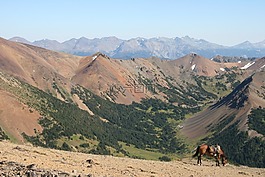 加拿大,chilcotin,山