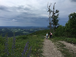 山,云,自然