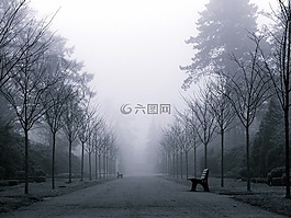 霧,天氣,心情