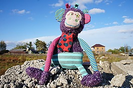 玩具,猴子,秋季