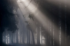 霧,光束,神秘