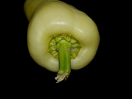 辣椒粉,黃色,蔬菜