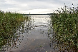湖,自然,水