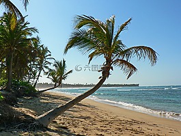 海灘,熱帶地區(qū),海