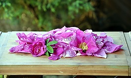 玫瑰,花瓣,果醬