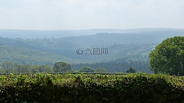 林地,春,自然