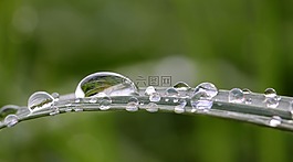 雨滴,露珠,一滴水