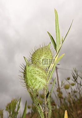 宏,性質(zhì),工廠
