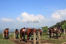 坎迪,kedongsongo,bandungan