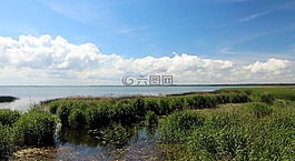 里德,河,海滩