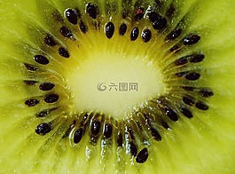 獼猴桃,水果,健康