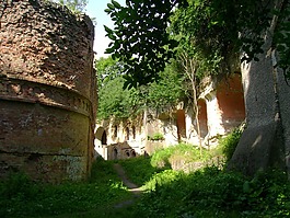 乌克兰,tarakanìv,堡
