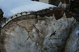 日志,木材,冬季