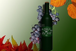 酒瓶,紅葡萄酒,酒
