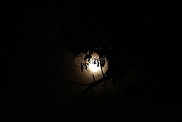 天空,月亮,自然