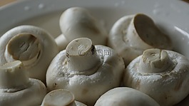 蘑菇,蔬菜,烹飪