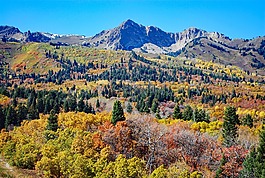 秋,山,景觀