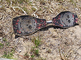 snakeboard,滑板,老