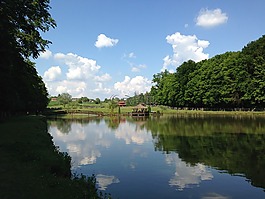 自然,湖,戶外