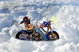 騎自行車的人,摩托車,電單車
