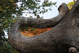 地點(diǎn),石像,象
