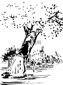 亞洲,中國,日本