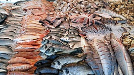 魚,市場,海