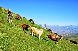 性質(zhì),土耳其,景觀