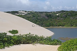海滩,圣诞,巴西