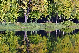 水,公園,樹