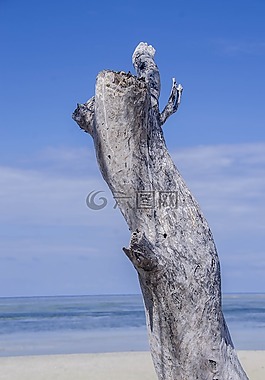海,自然,水