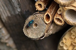 飛,豐富多彩,點亮了