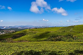 越南,旅行,亞洲