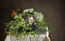 購物籃,植物,裝飾