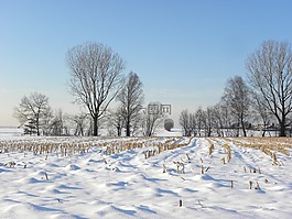 雪草甸,寒冬,麥田