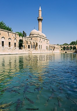 sanliurfa,乌尔法,balikligöl